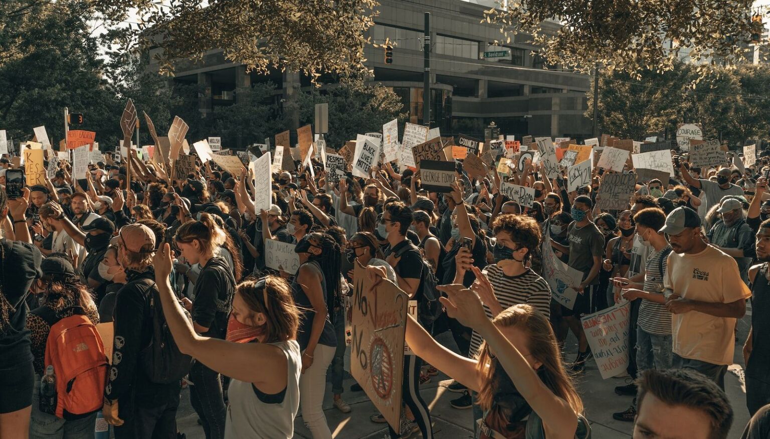 people gathering on street during daytime