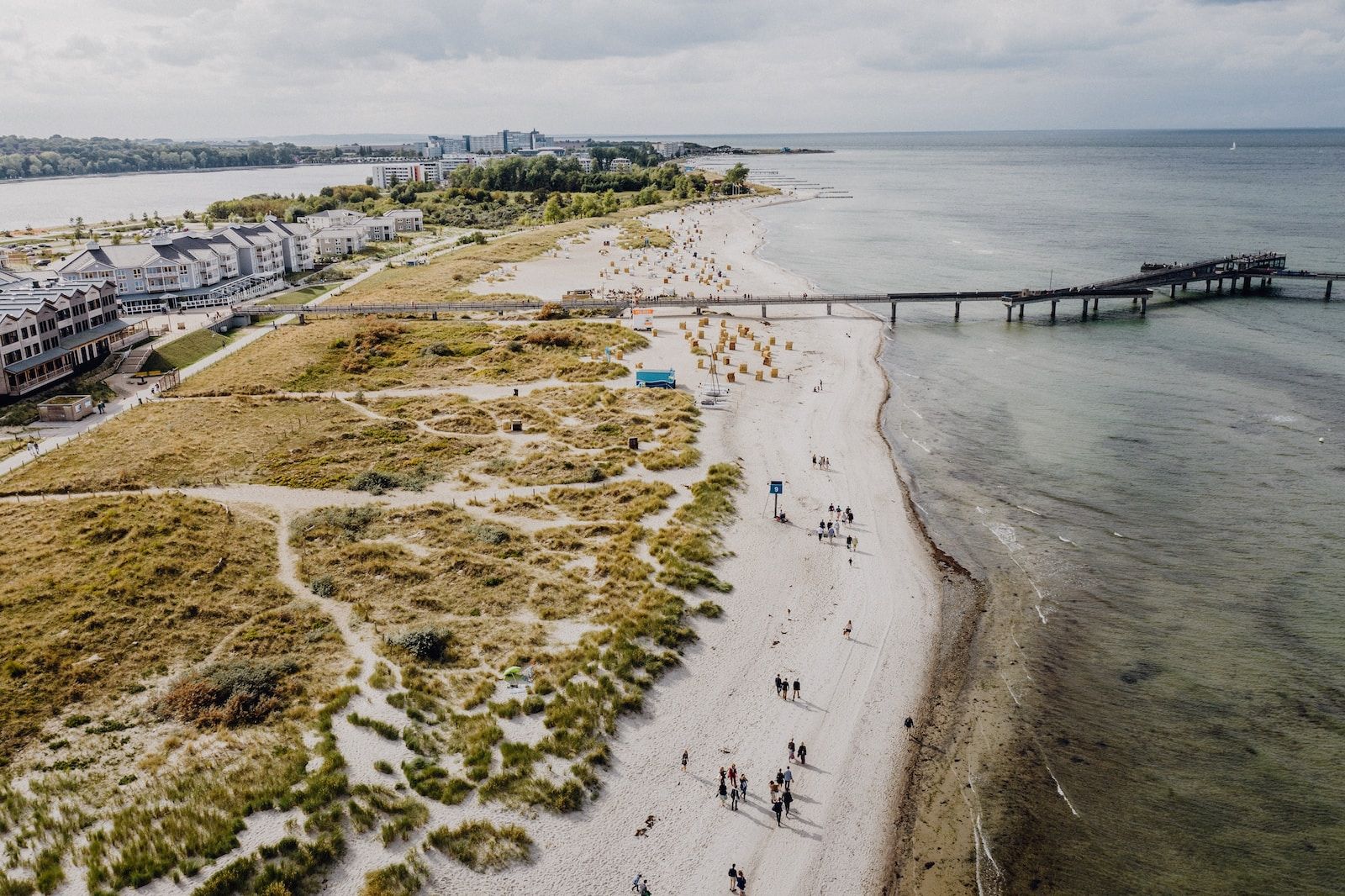 people on beach during daytime