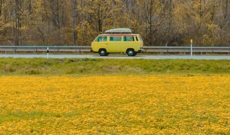 yellow van on yellow grass field