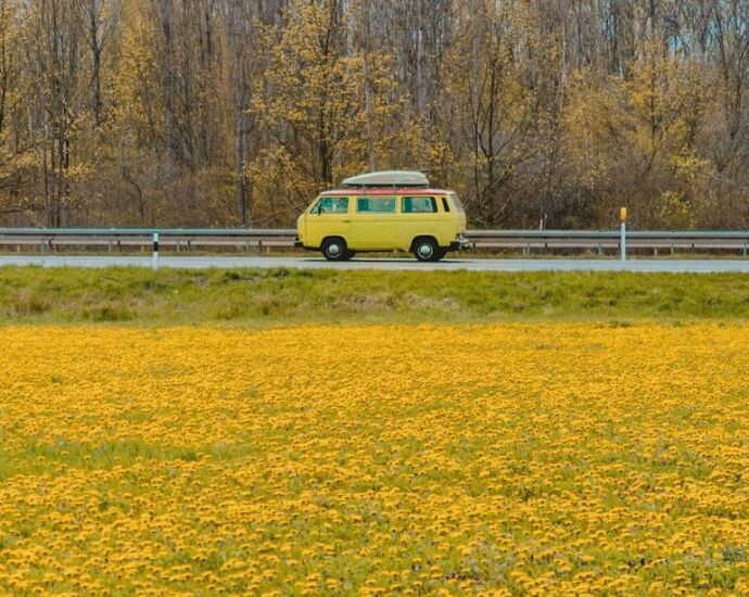 yellow van on yellow grass field