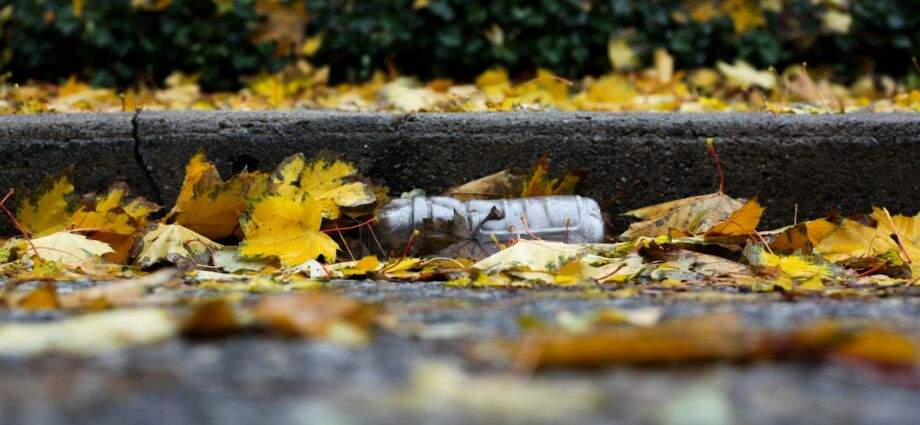 Spätsommerliche Müllsammelaktion: Erfolgreiches „RhineCleanUp“ in Worringen